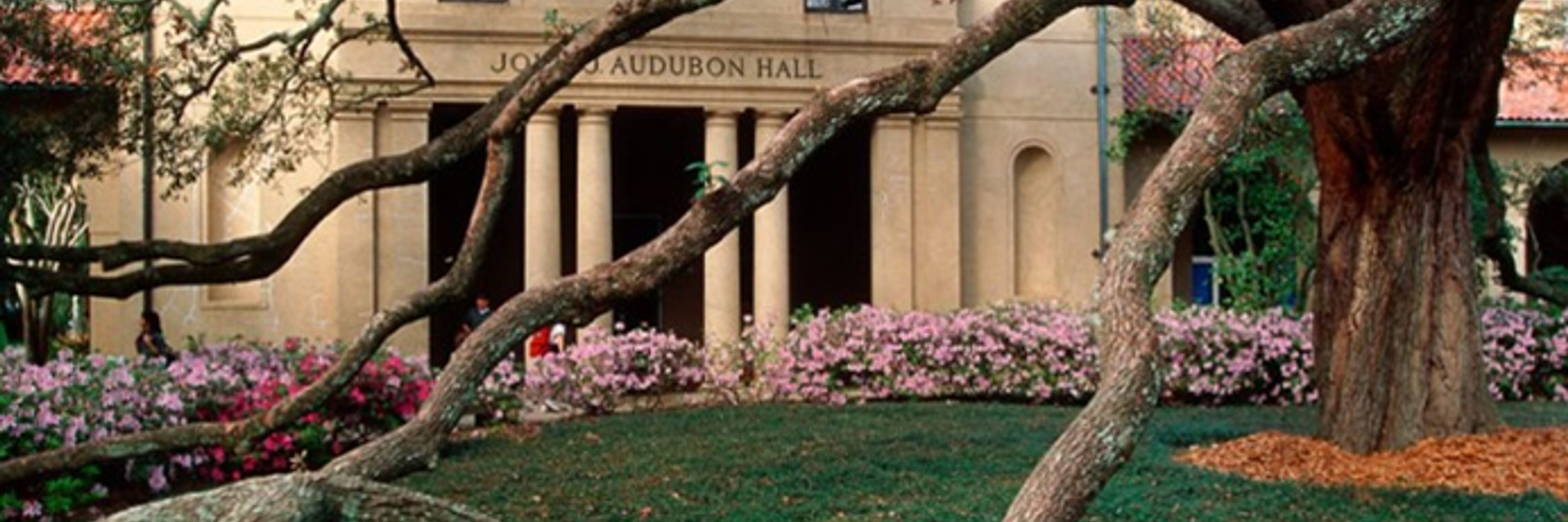LSU A&M Department of Psychology