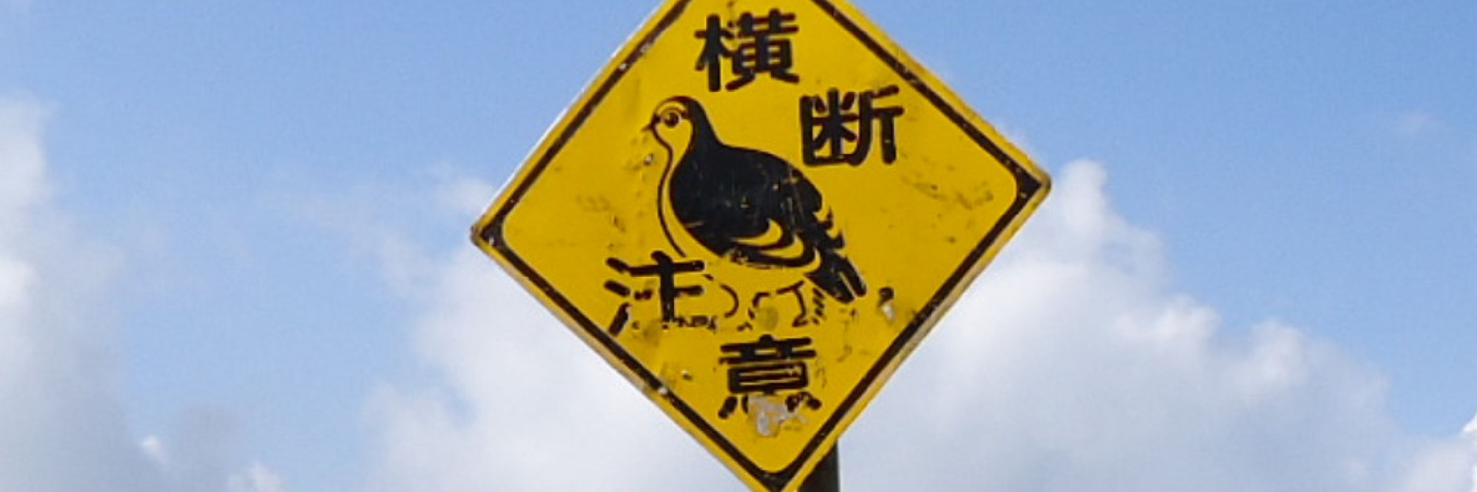 たんげりね