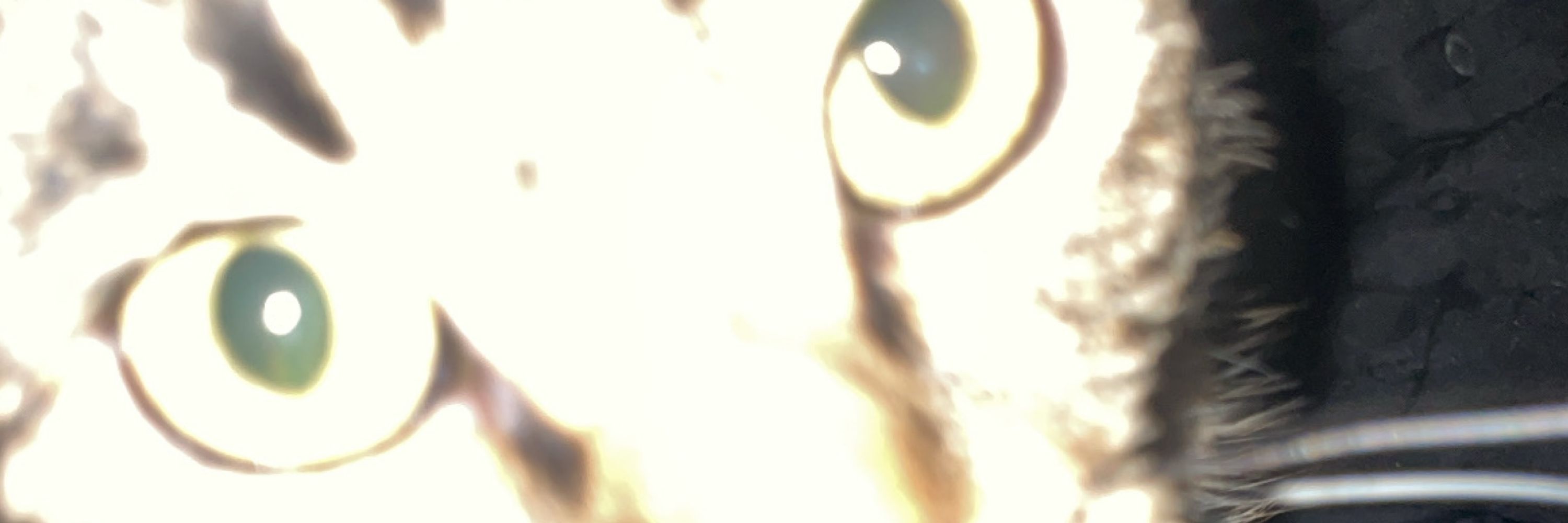 Sparkle._.Puke