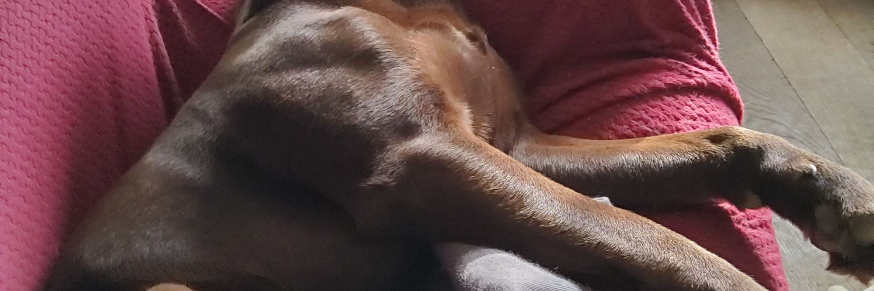 It is I, Leroy
