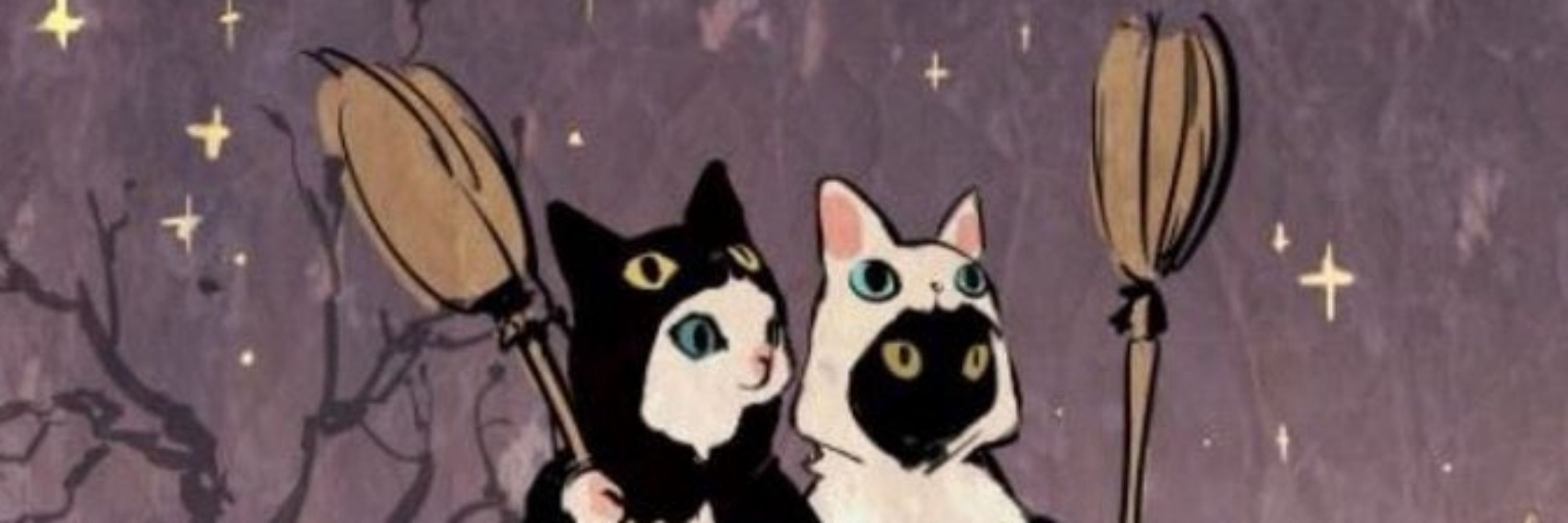 angie do mundinho soul eater br 🐈‍⬛