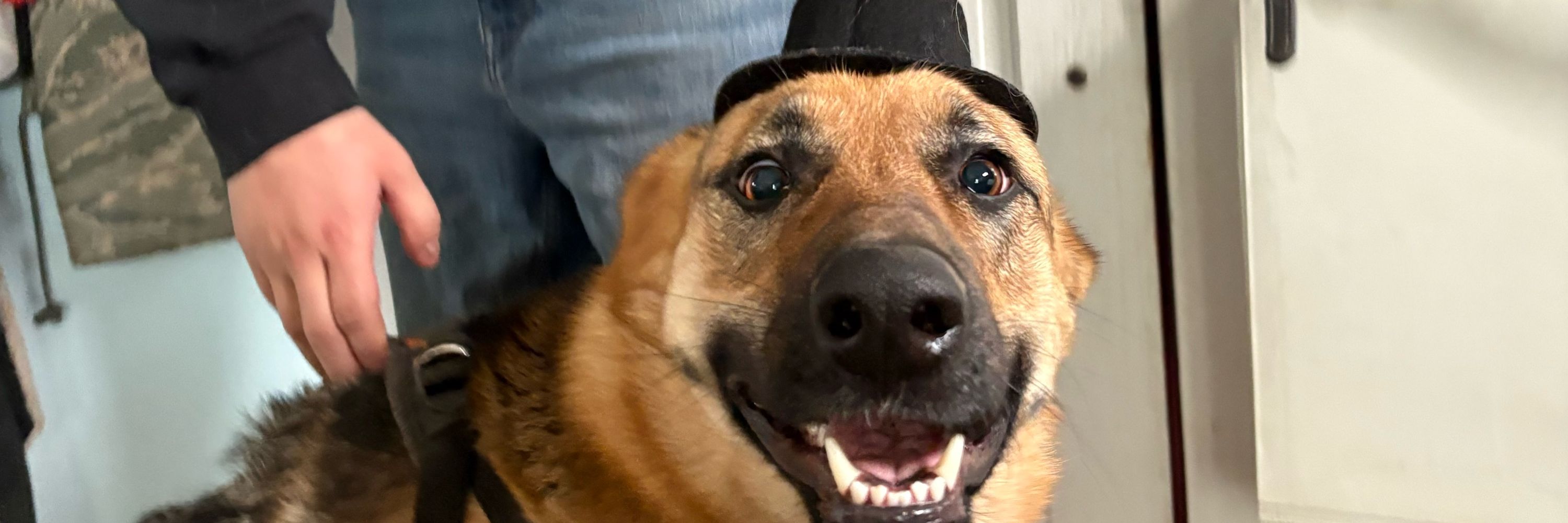 Schmowder