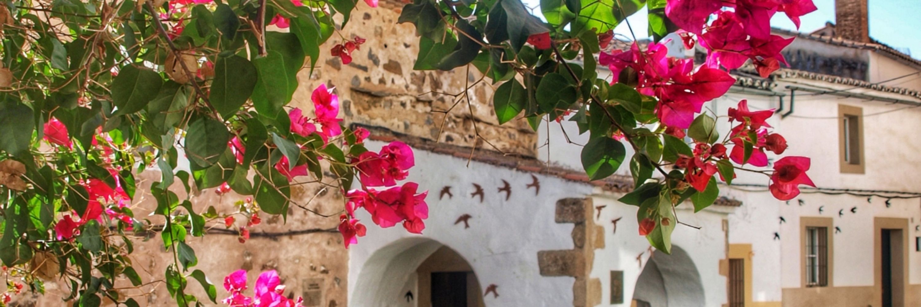 La Taberna de la Colorá