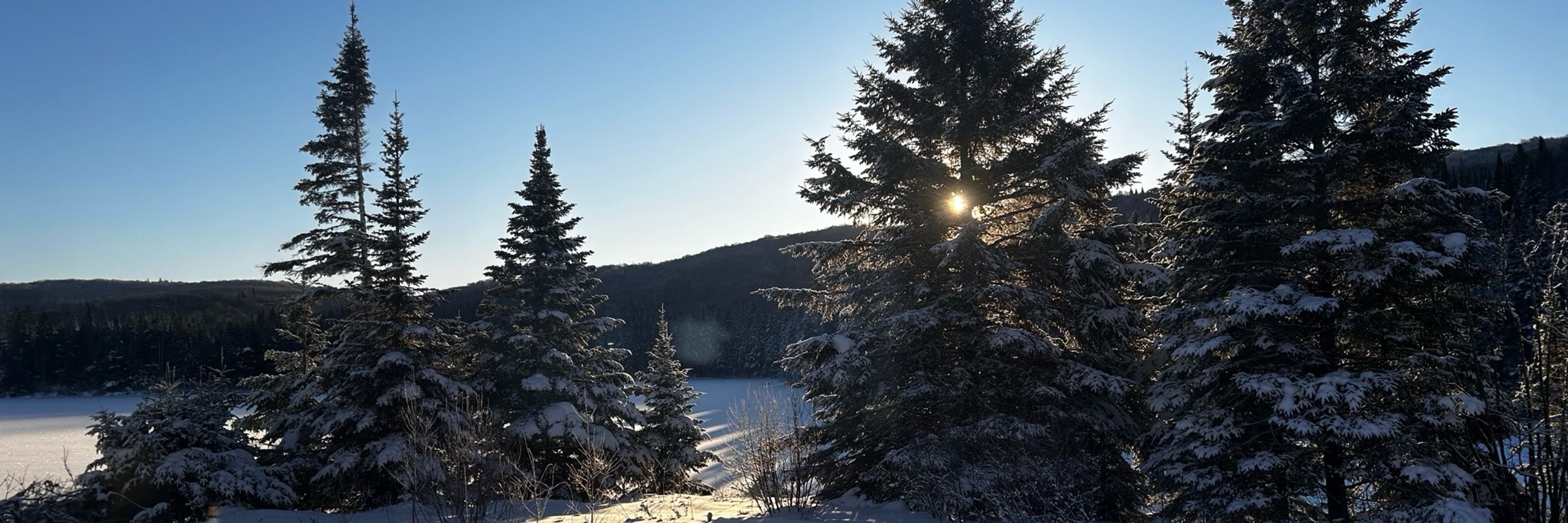 Guillaume s’en va dans l’bois. ☀️💫🌲🦊