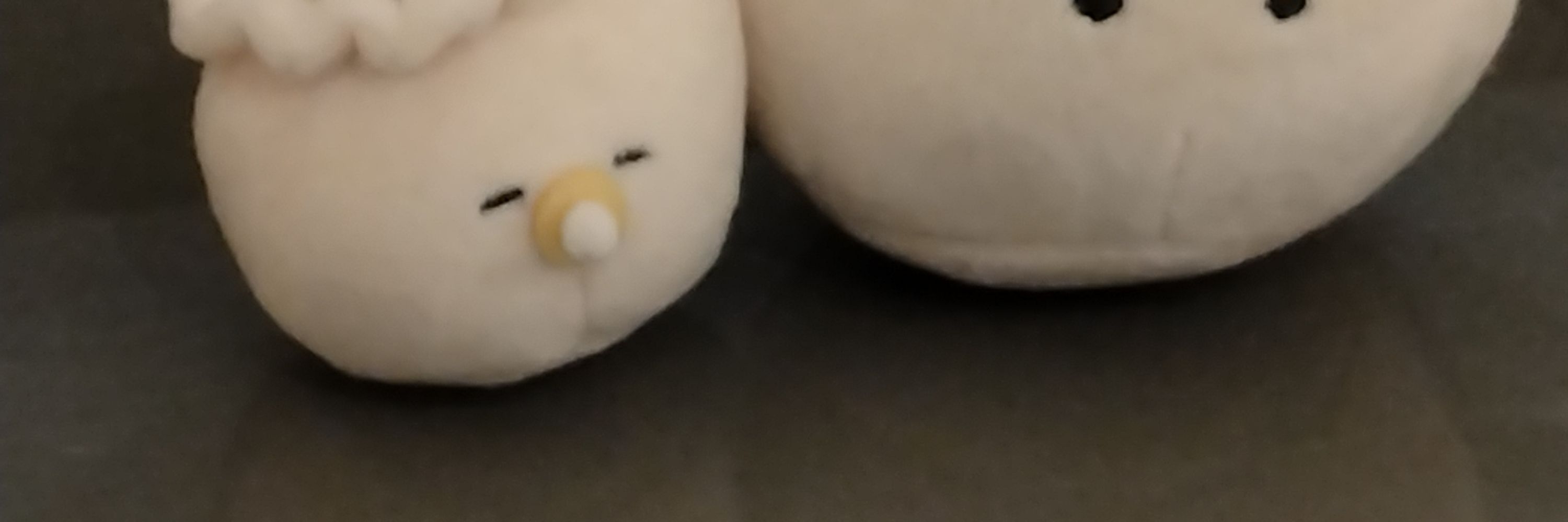 にぼし🐟