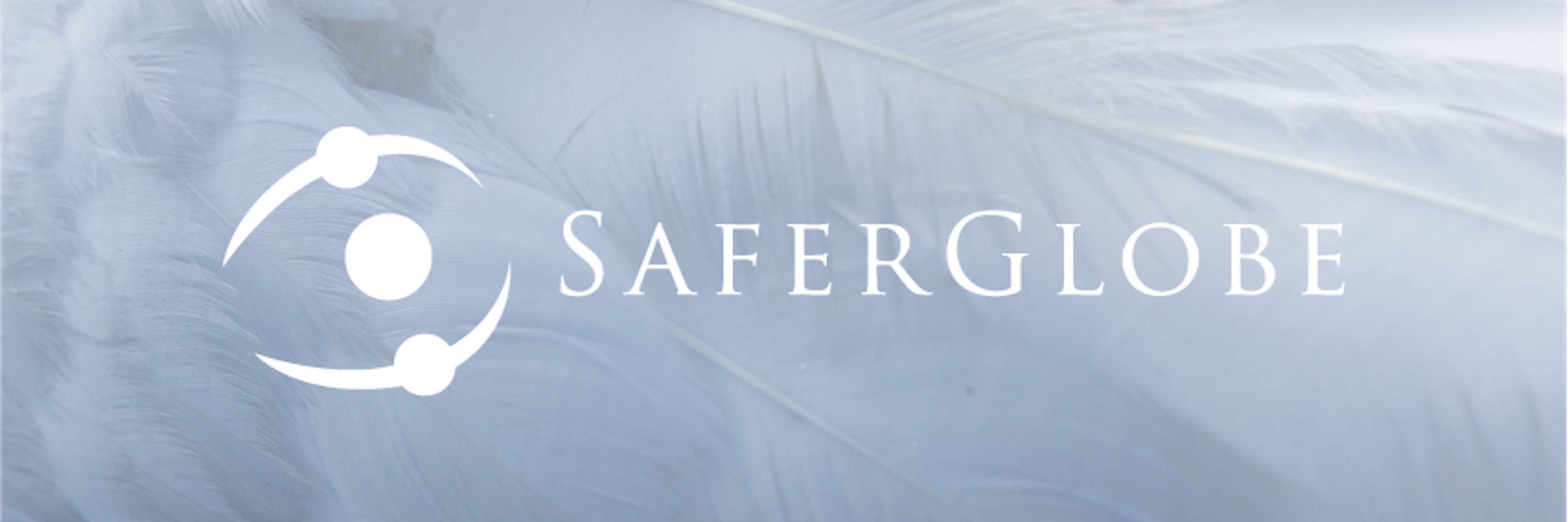 SaferGlobe