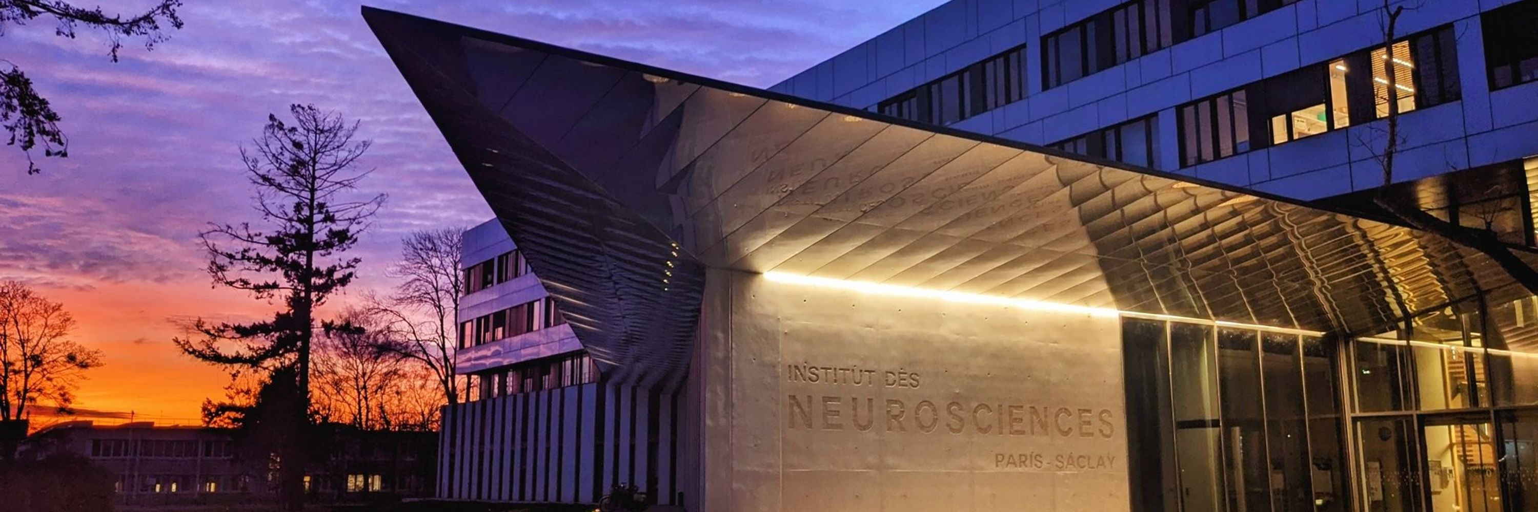 Paris-Saclay Institute of Neuroscience