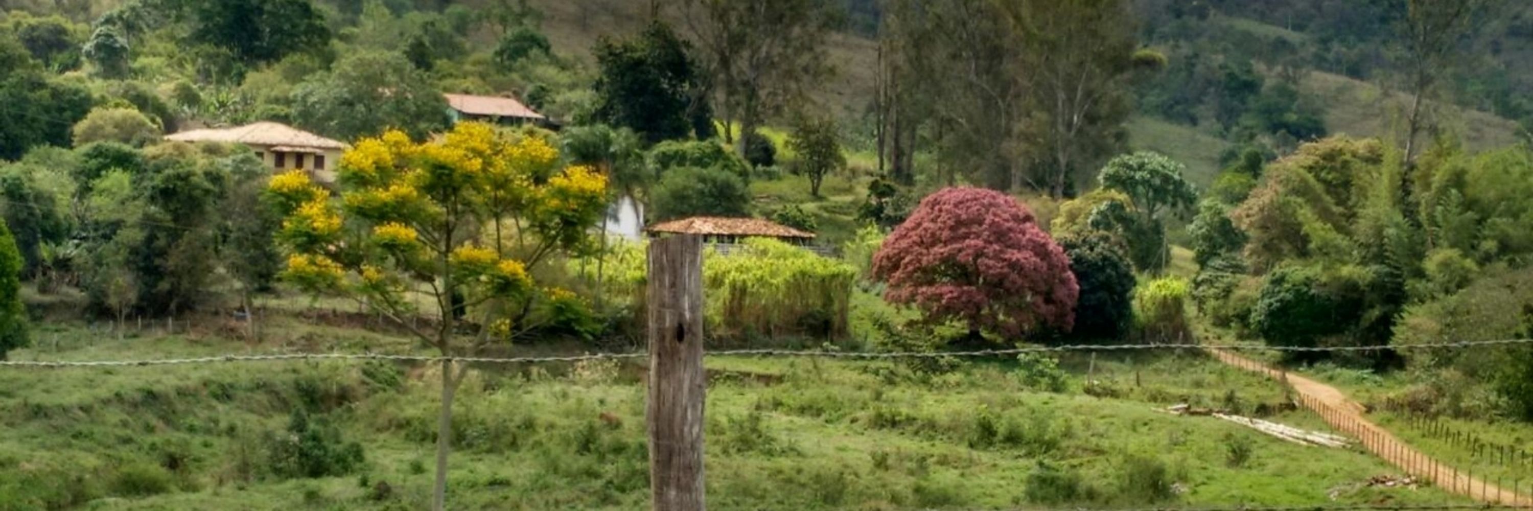 caminho do meio, pastel sem recheio