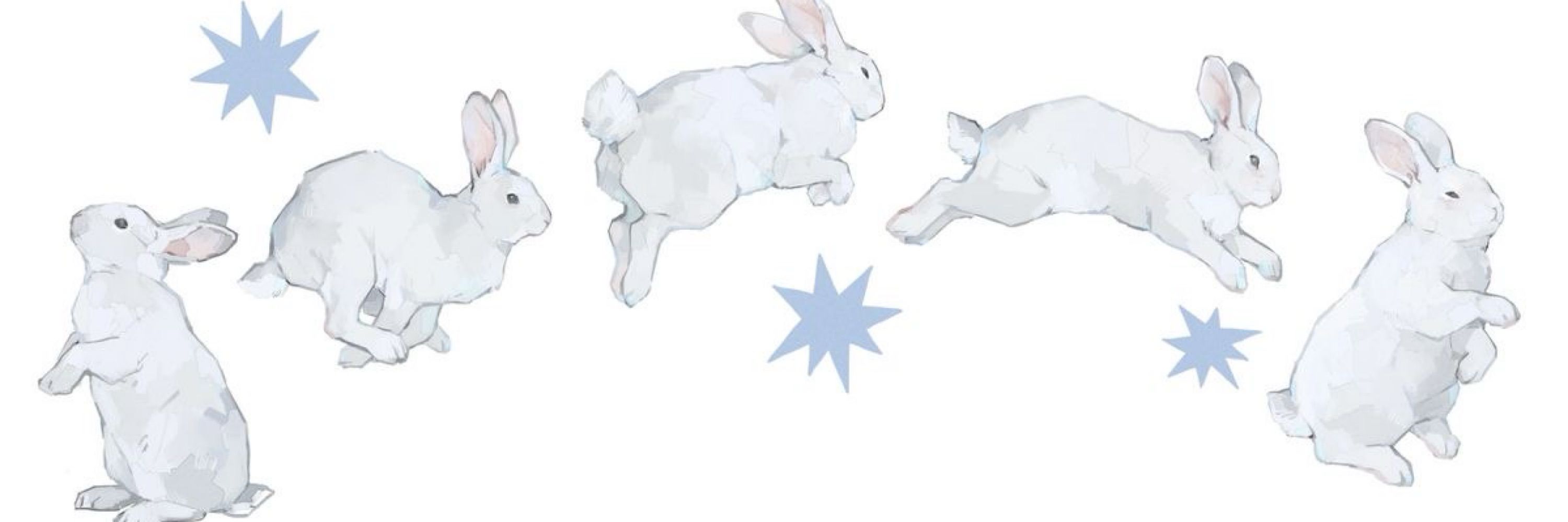 ⊹ ࣪ ˖ cinna ⋆˙⟡