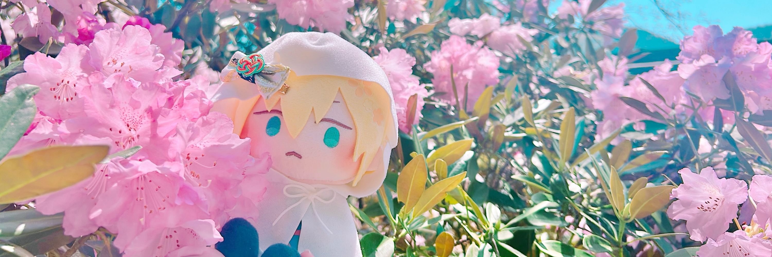 宙丸さくら
