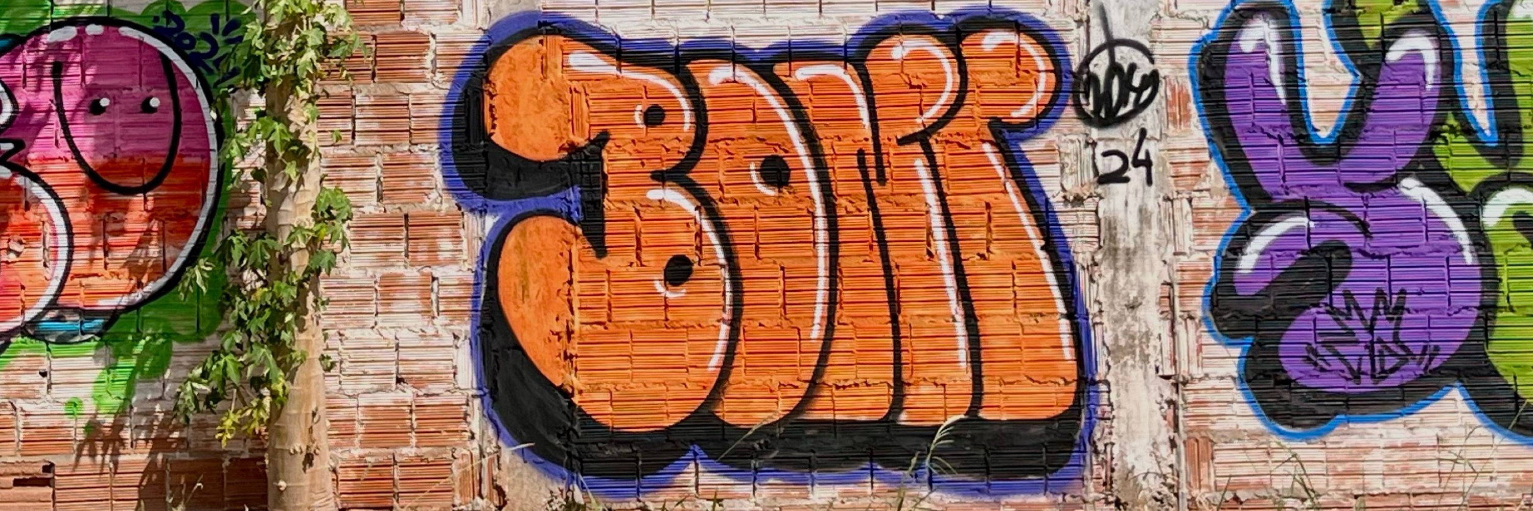 Boni 