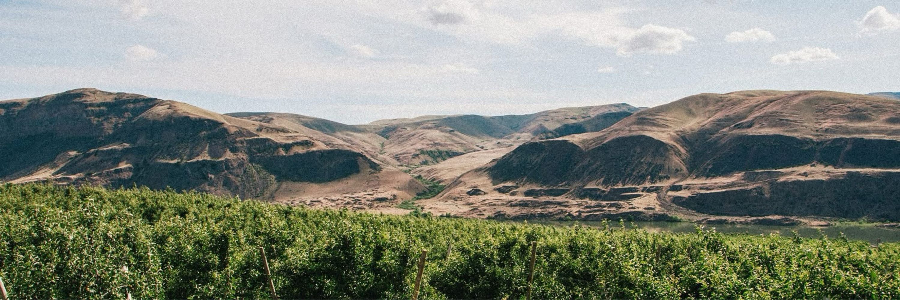 Yonder Cider Co.