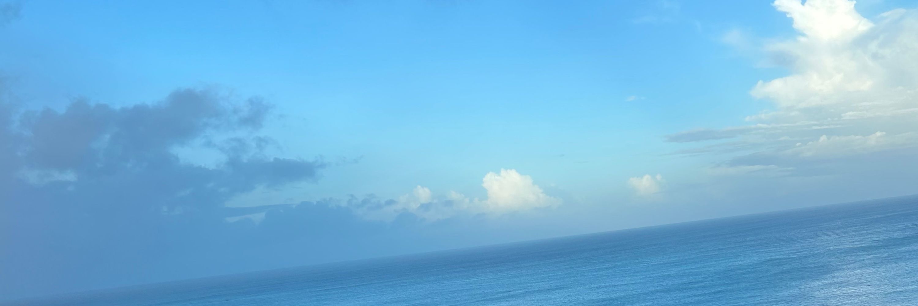 浮沈