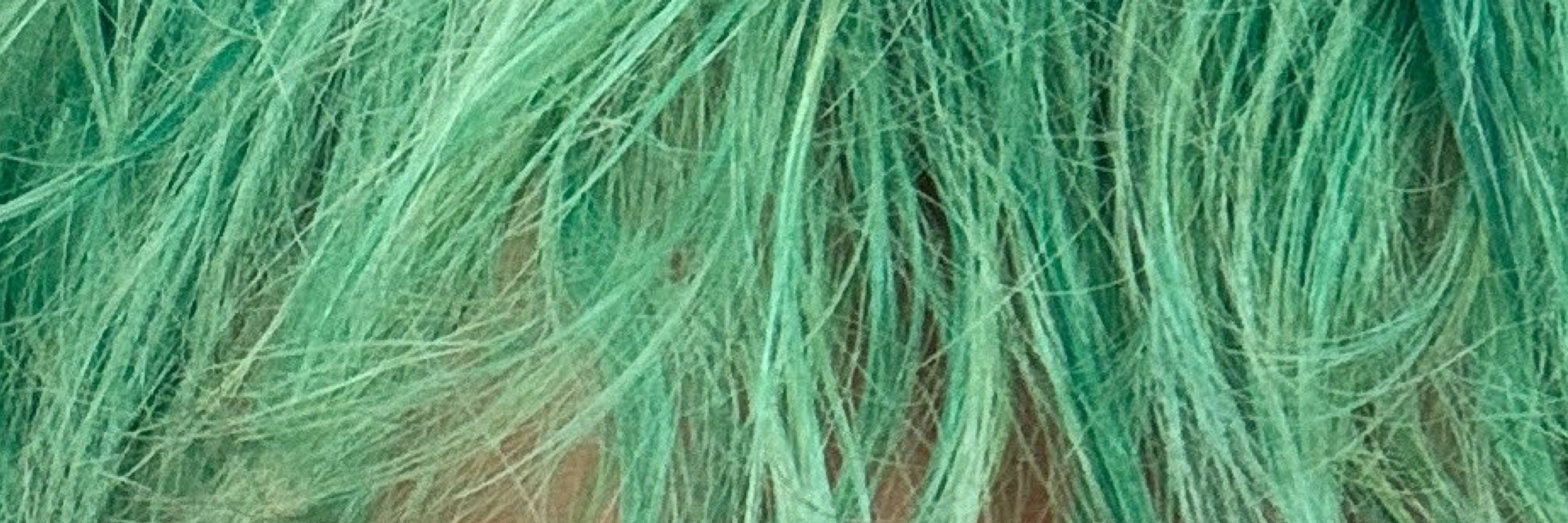 awsten mint green hair