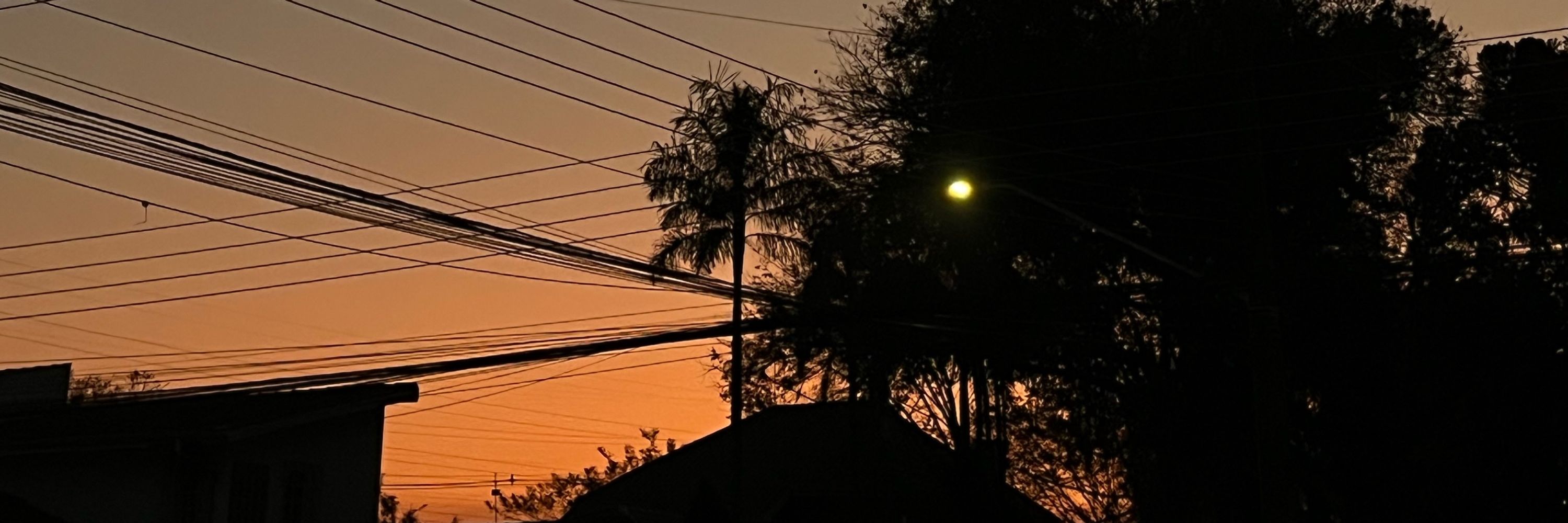 Leo, o vazio