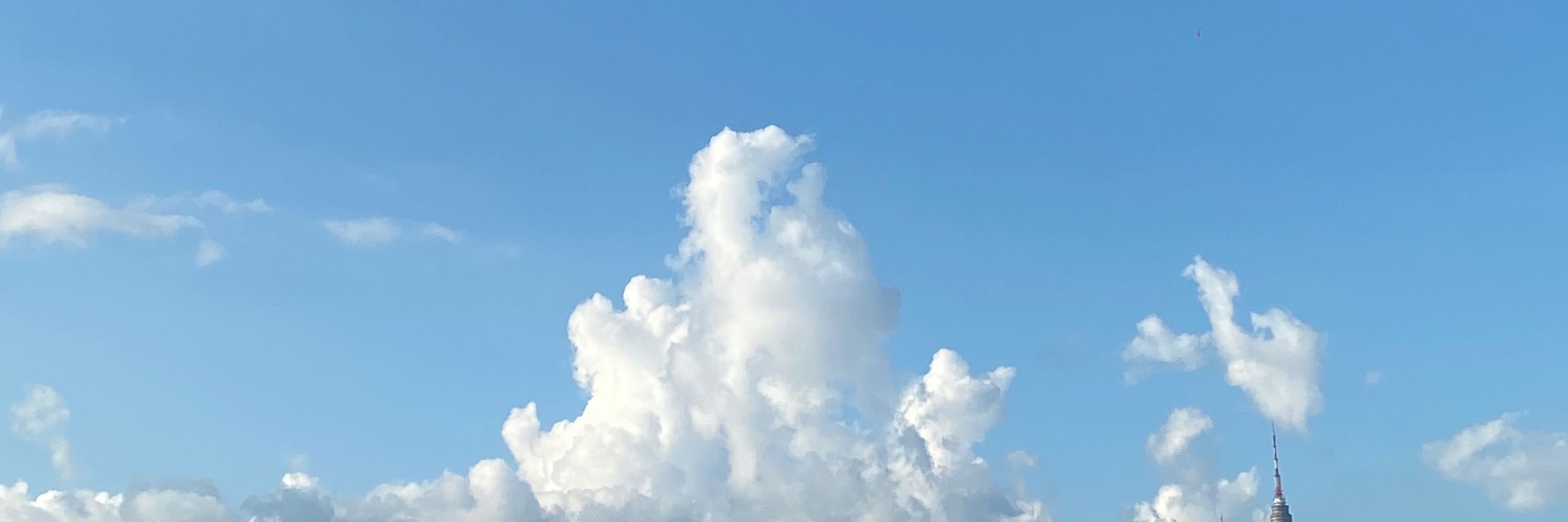 구름이☁️