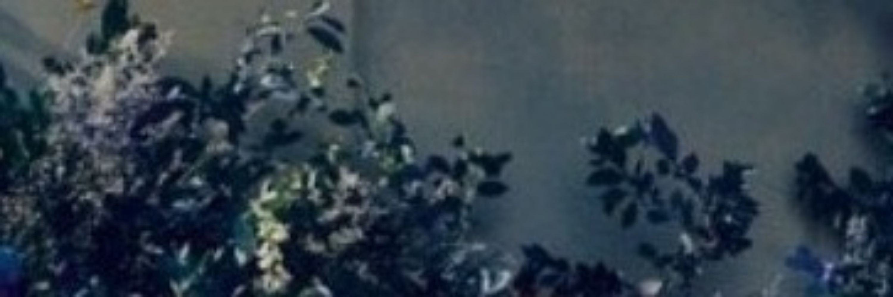 ◍⃝߭۫ꯨ🦋۪〬.࠭⤿ Sininho⁷