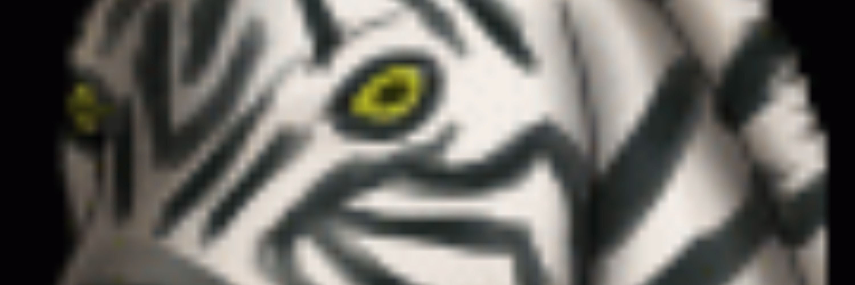 LitBDSM