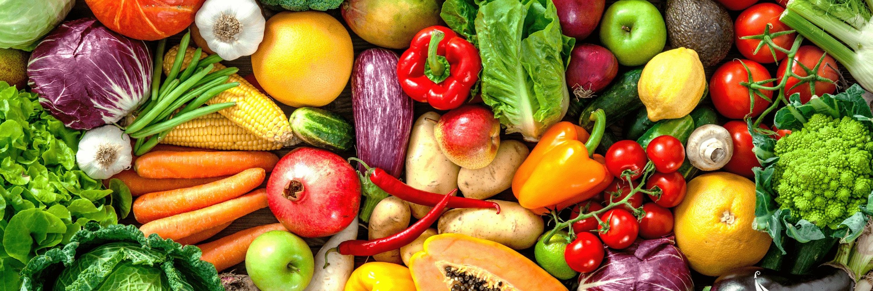 Plant Based Nutrition Support Group