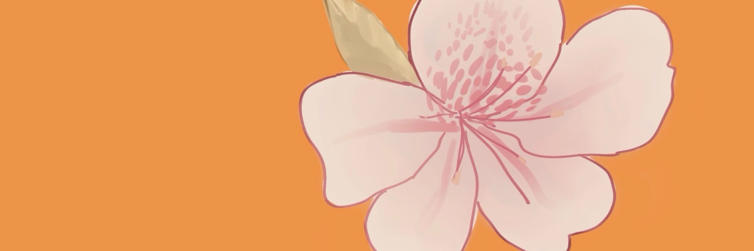 鼓/森ﾁﾖ