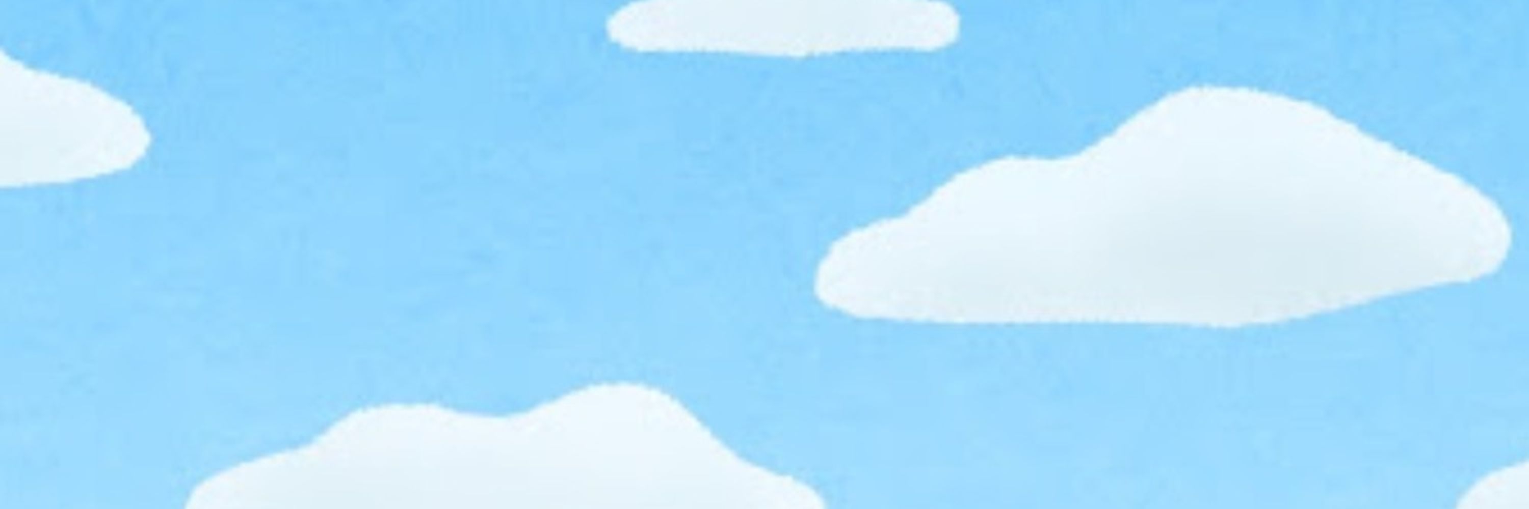 辻（カモネギ）