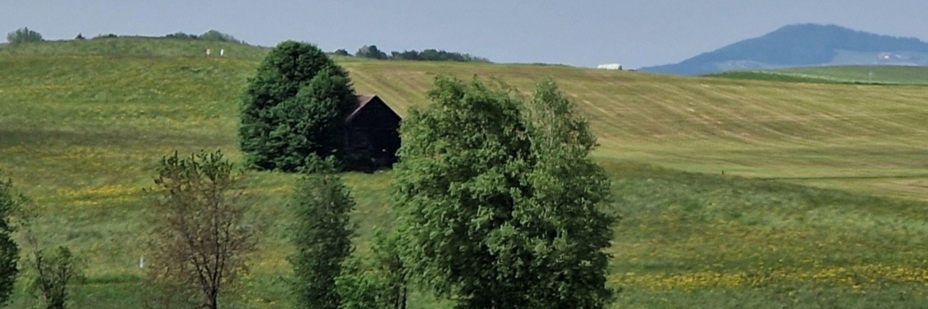 BellaLuna