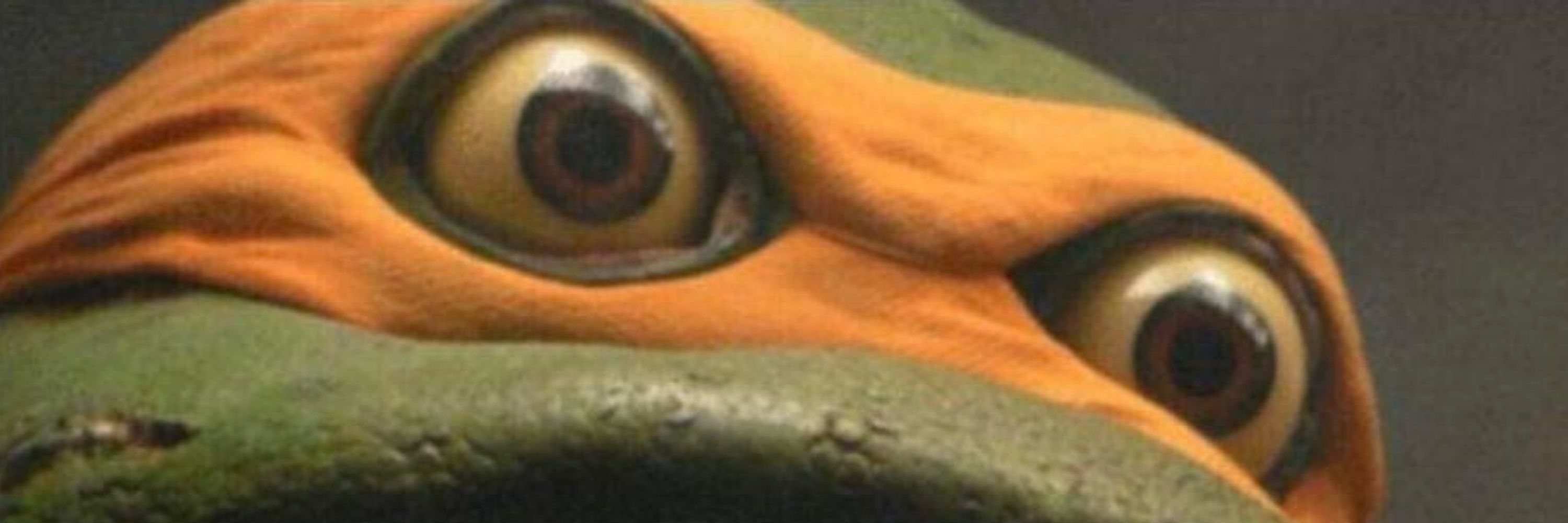 FlapJackBill