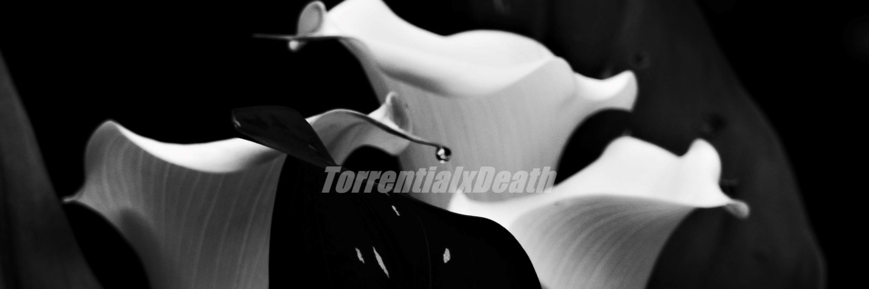 ..//TXD📷🎞️💀🖤⚜️