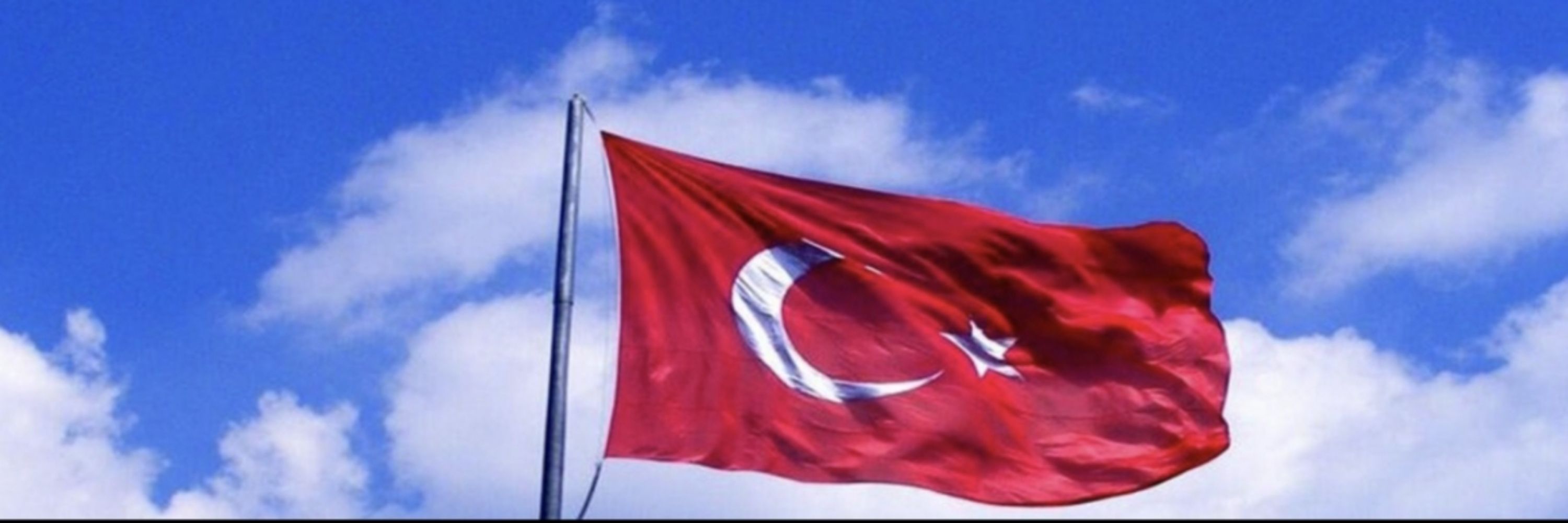 CengizSarp
