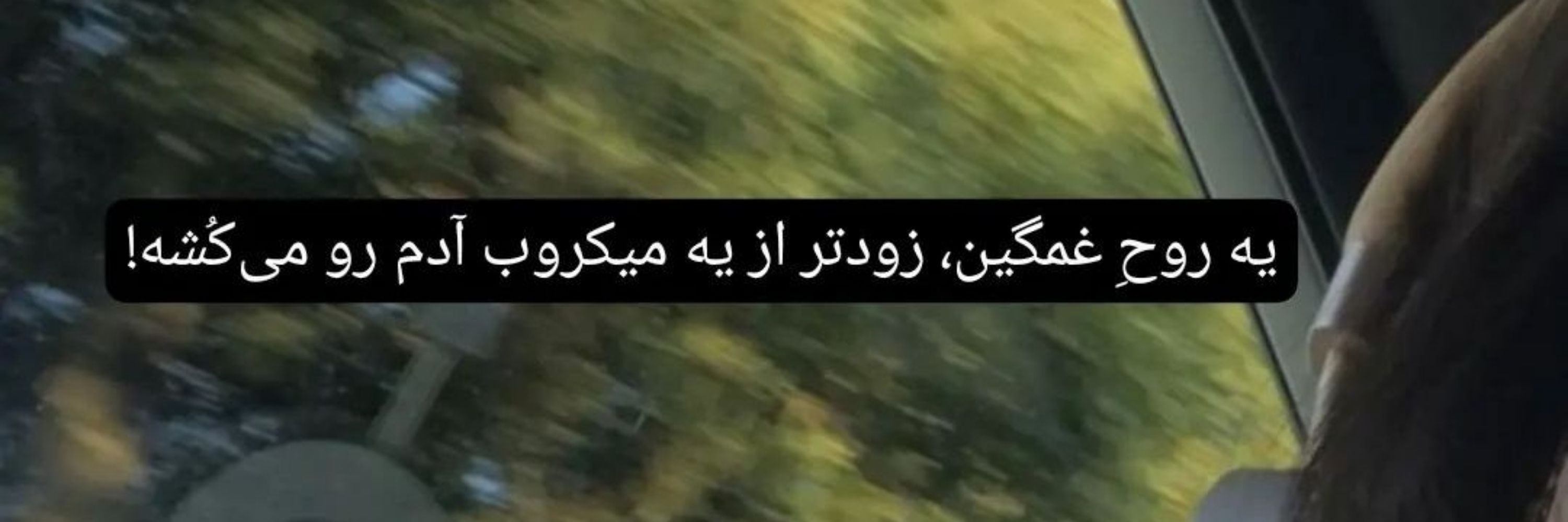زنده بیدار