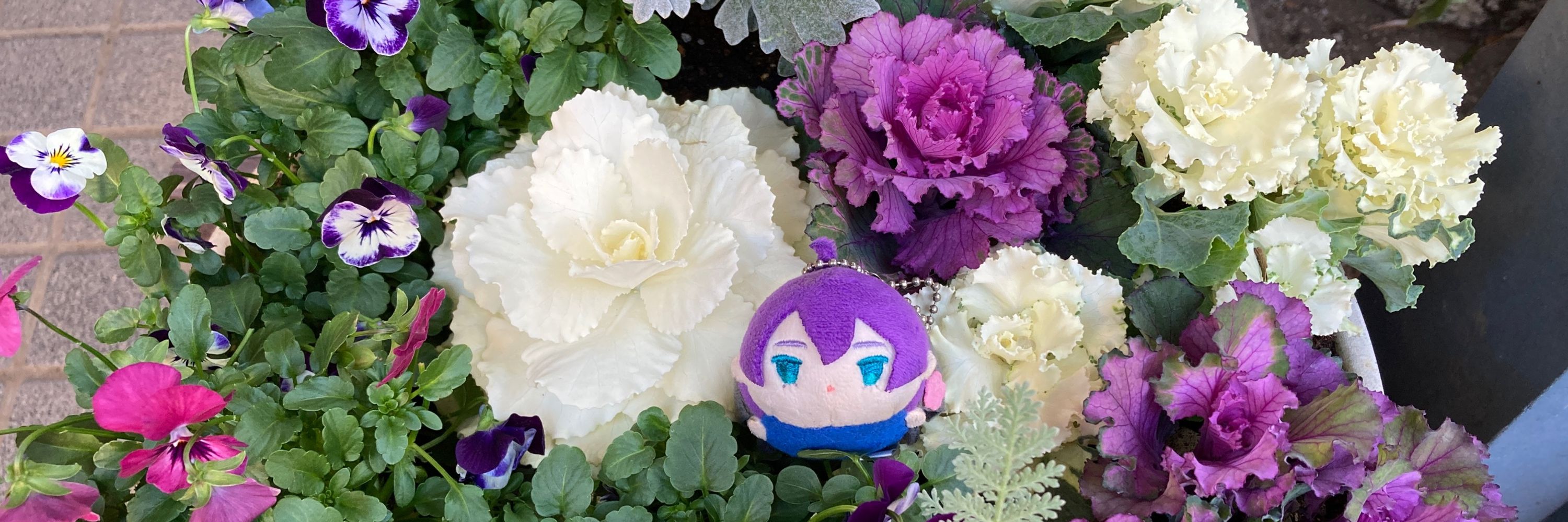 つきや