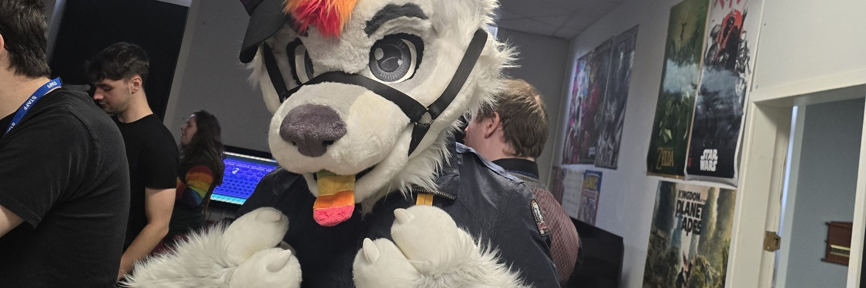 Linus_awoo🇨🇭 🔜 FWA |CFZ