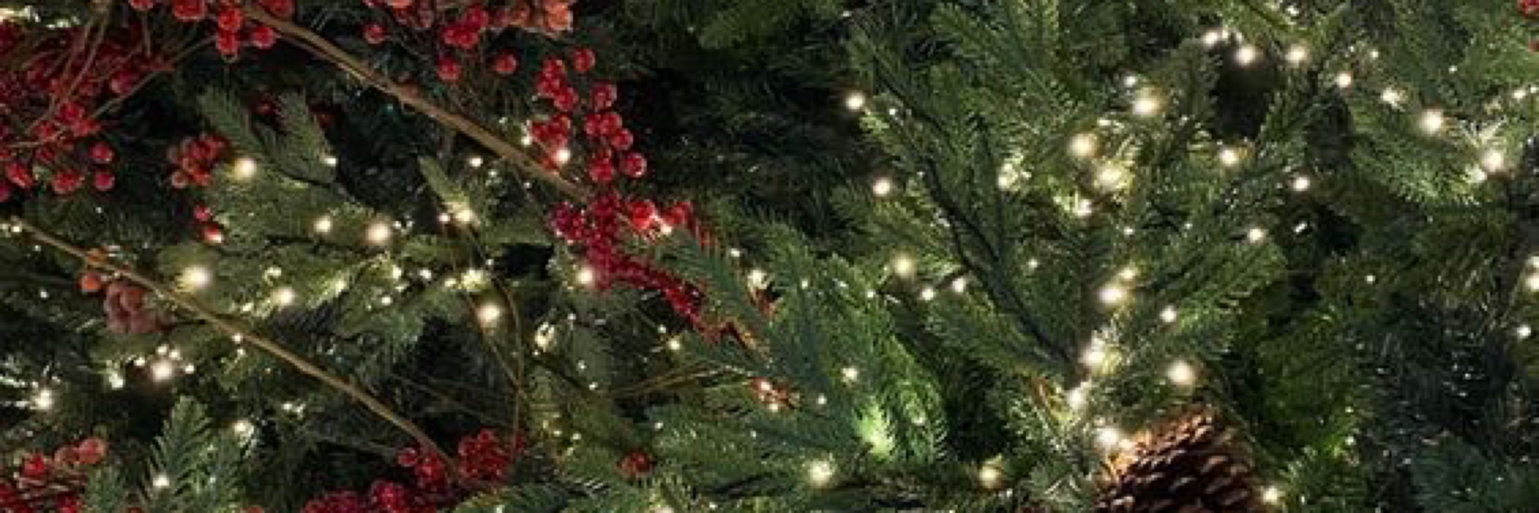  irisiris 🧑🏻‍🎄🎁🎄