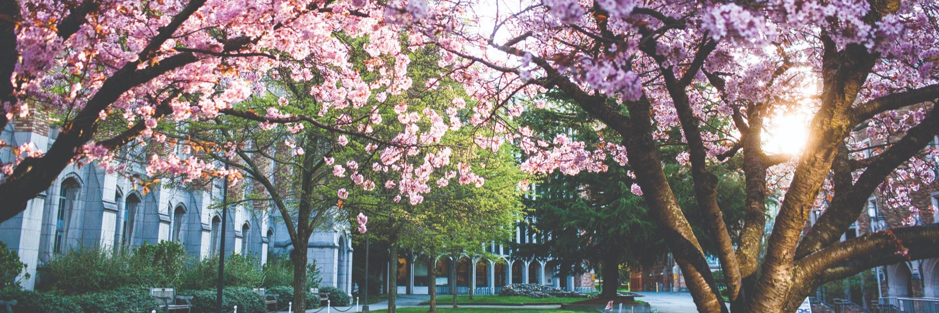 Cancer Vaccine Institute (CVI) at UW Medicine