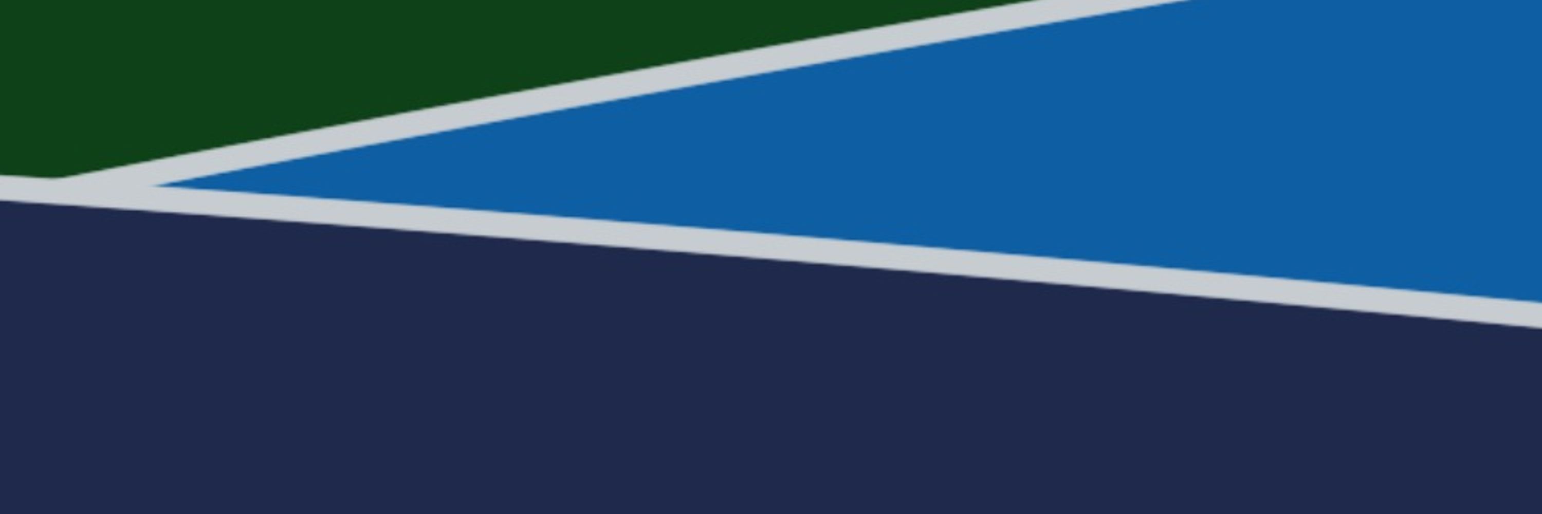 Loggerhead