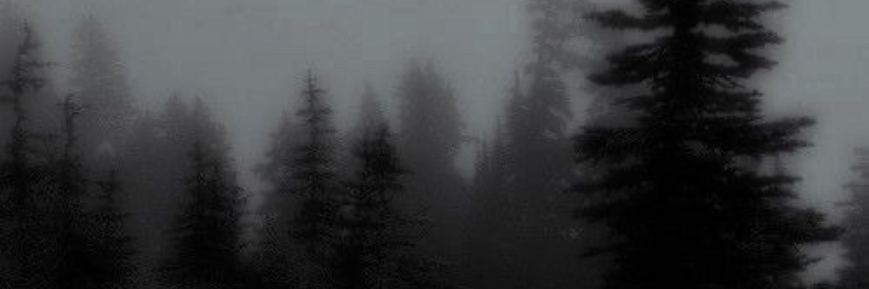 ALEK .ᐟִ  ࣪𖤐