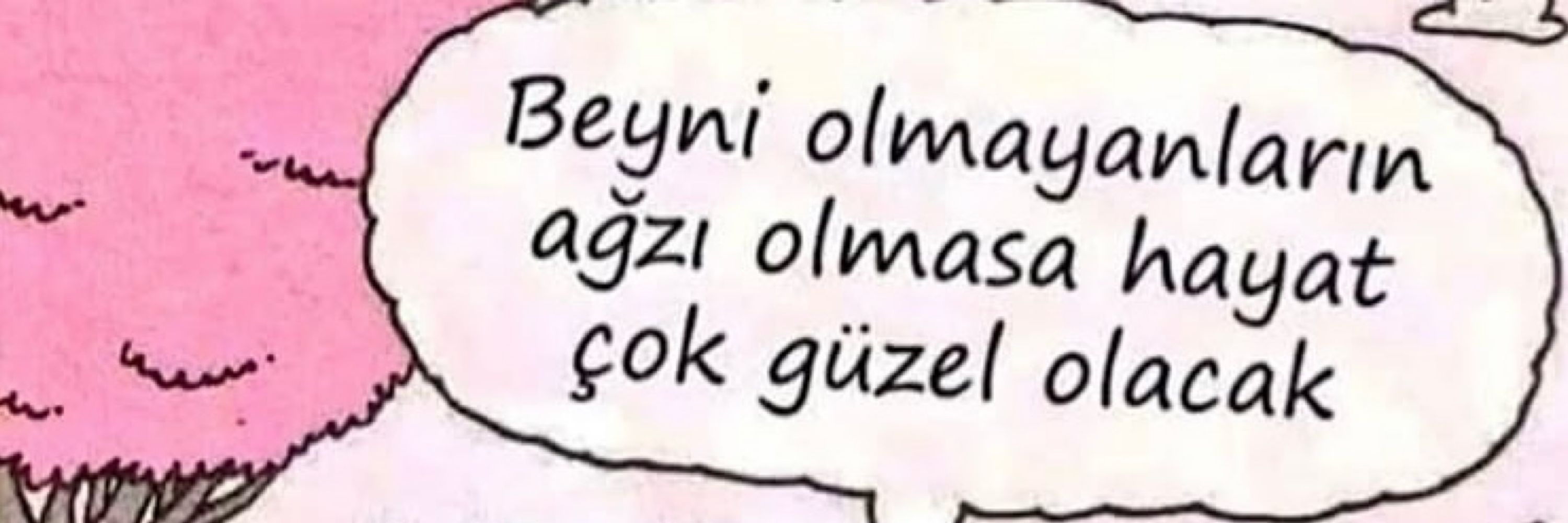 Feyza