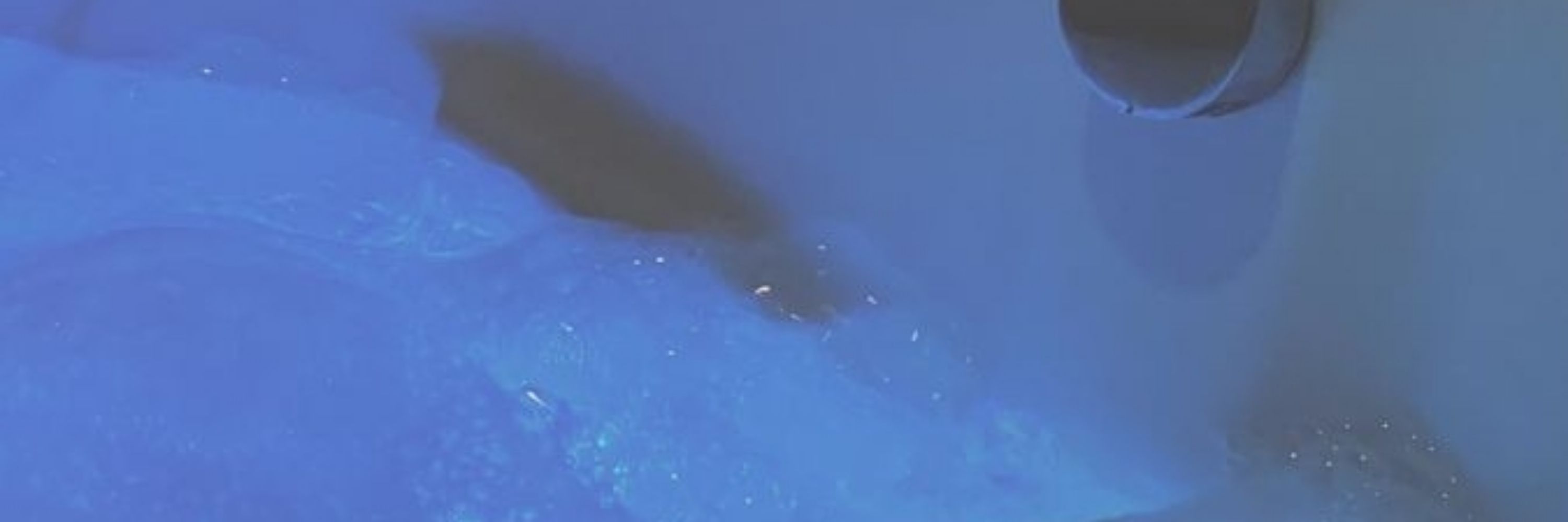 生