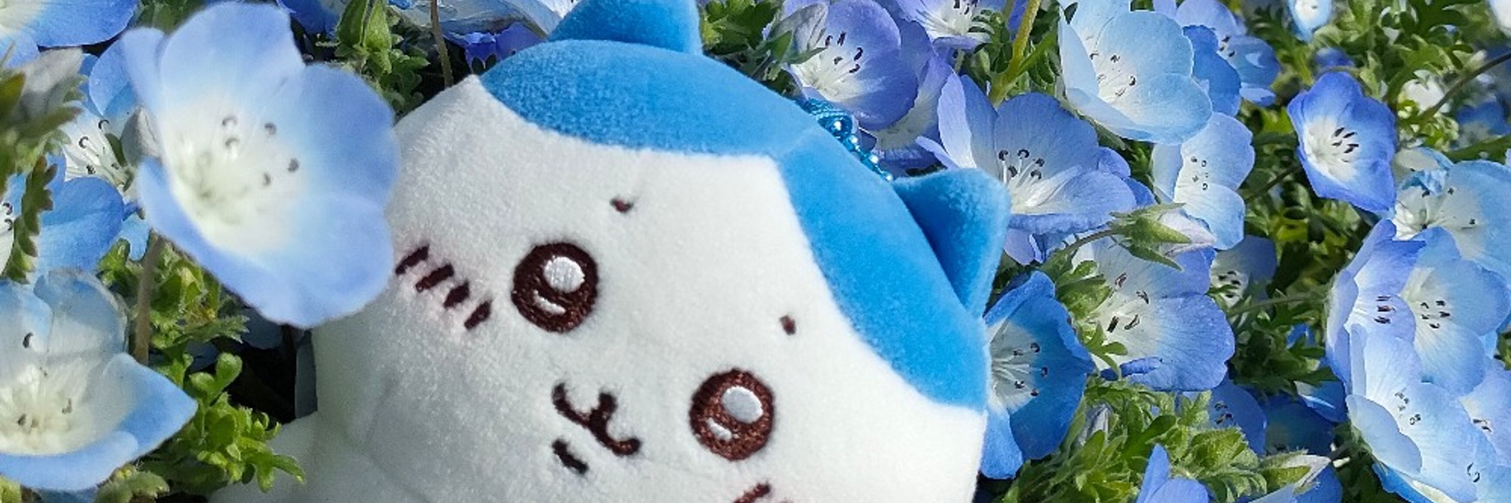 もふもふさん