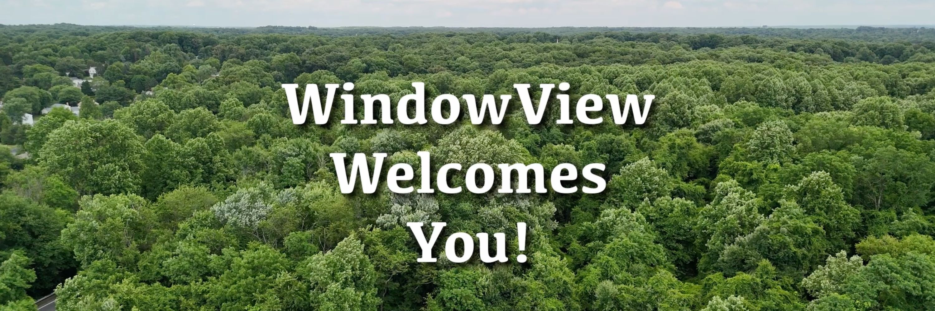 WindowView Observer