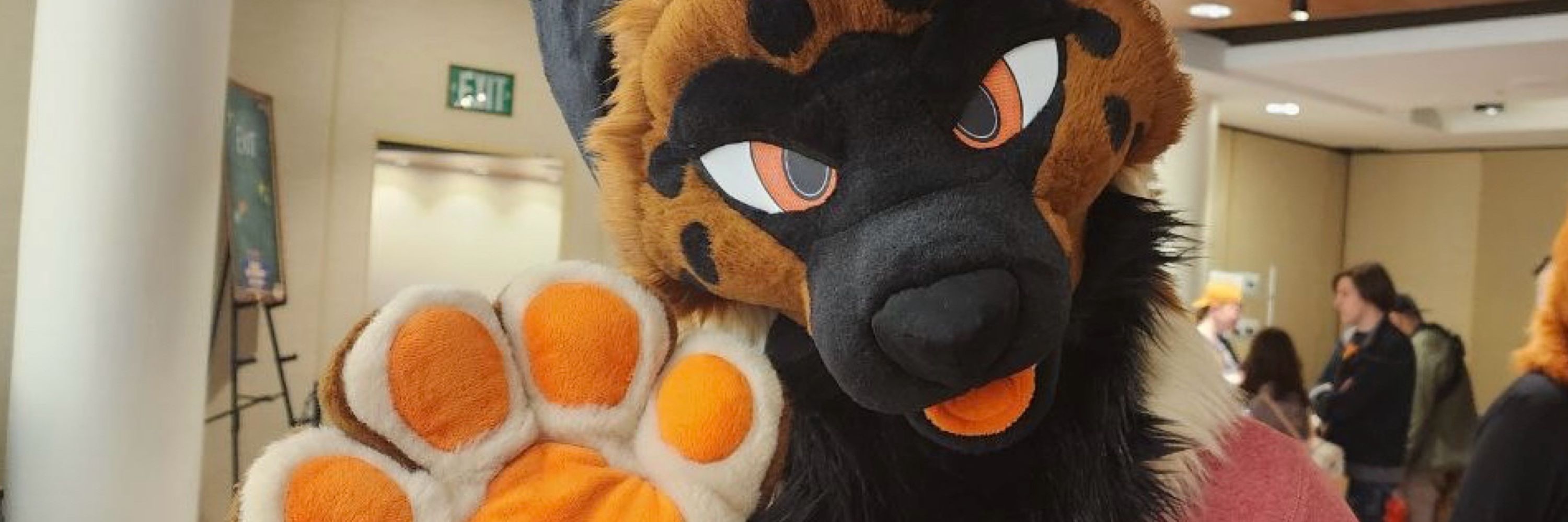 💜 🏳️‍🌈 Chase 🔜 FWA