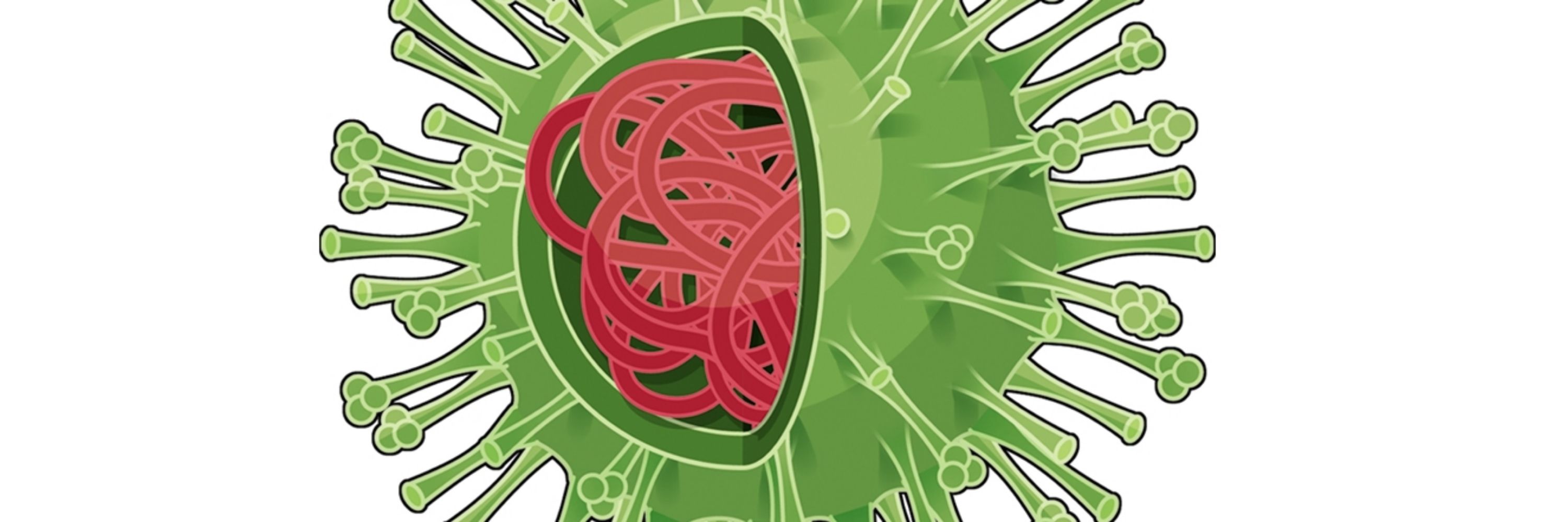 Virus