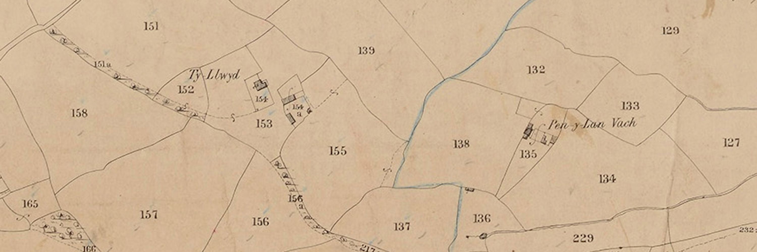 Welsh Place-Name Society