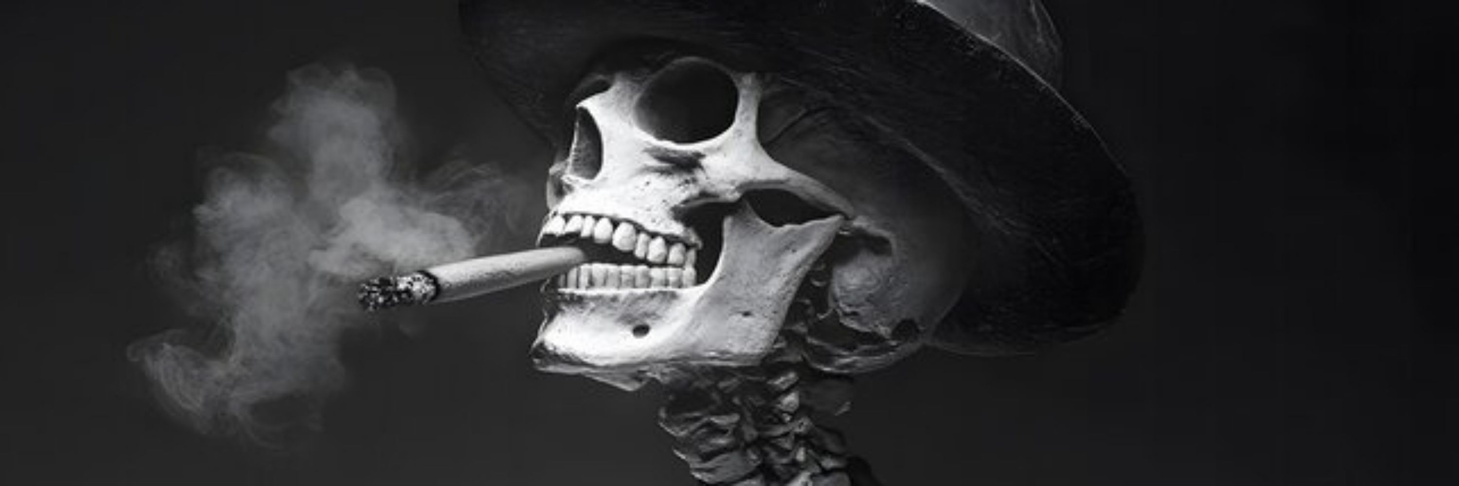 Bonehead