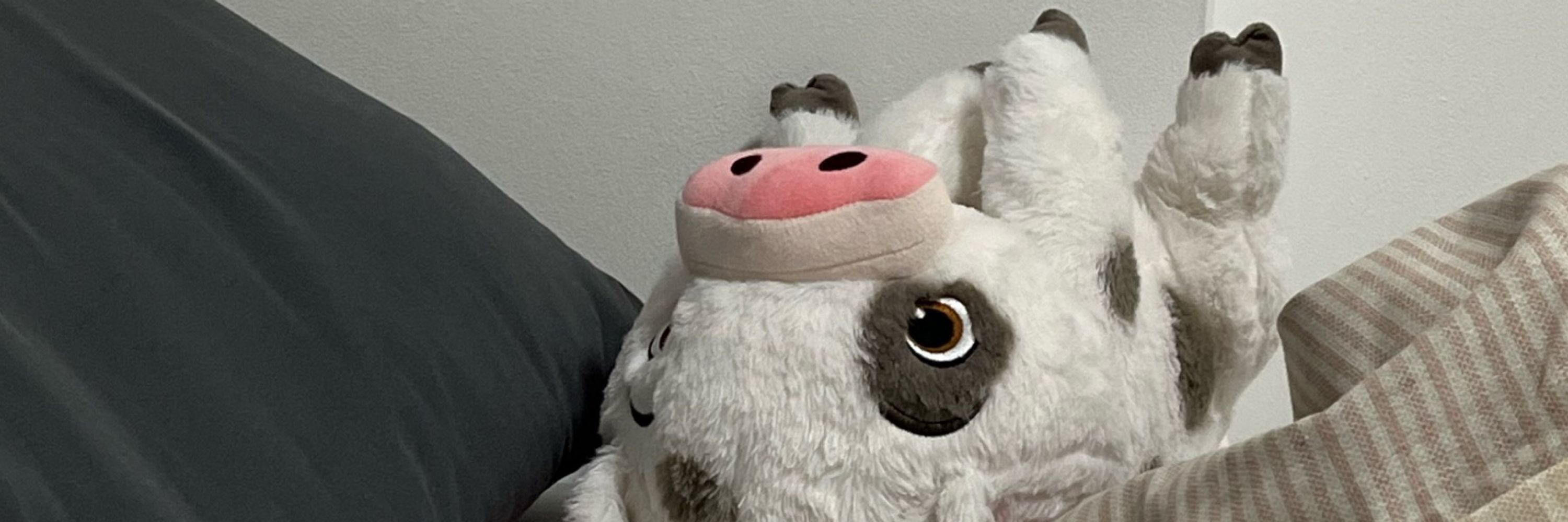 pua