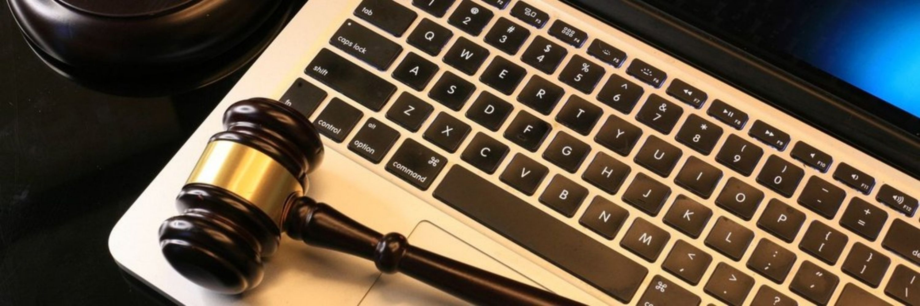 legalturing