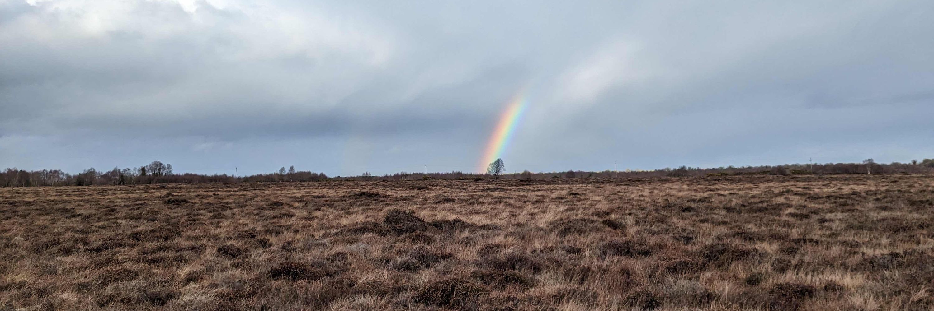 Irish Peatland Conservation Council
