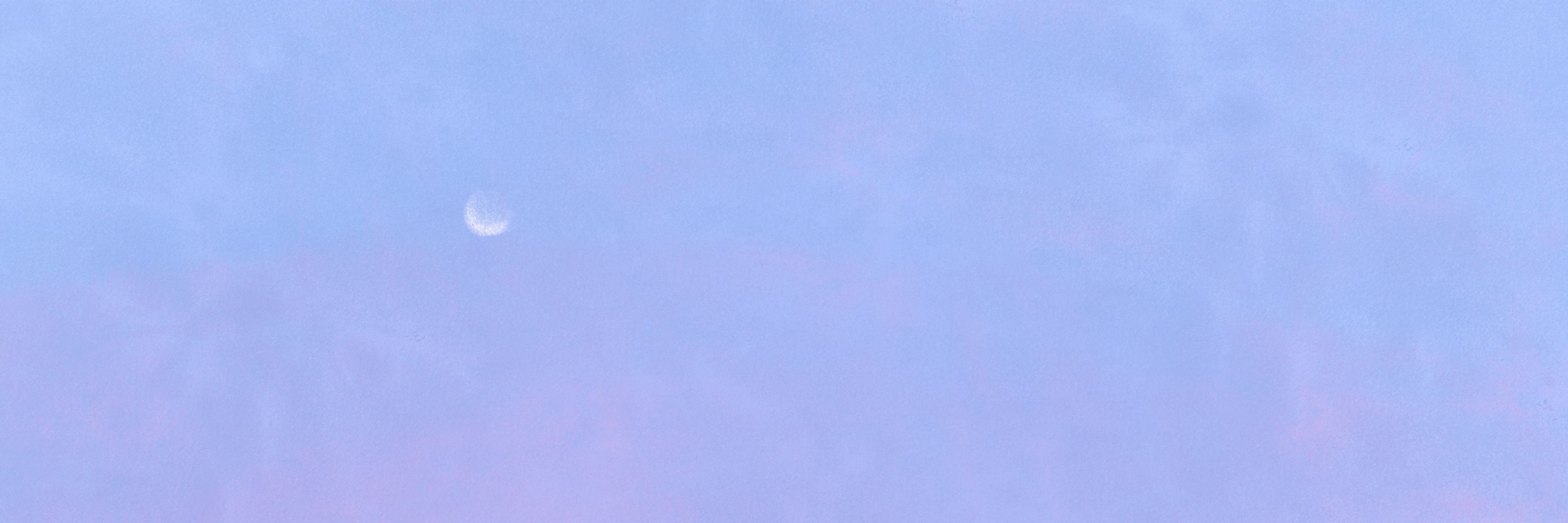 NULL1