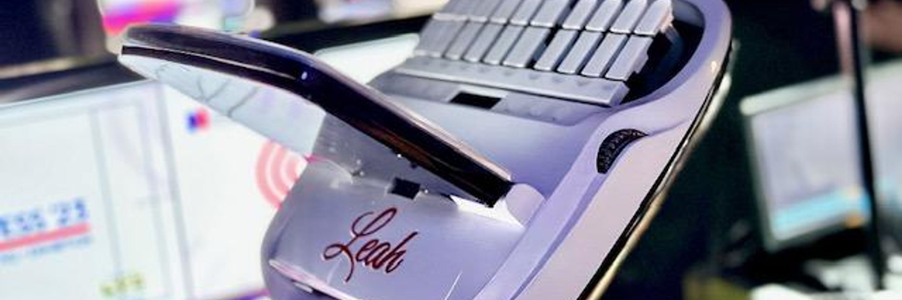 Leah Willersdorf - Court Reporter in Europe