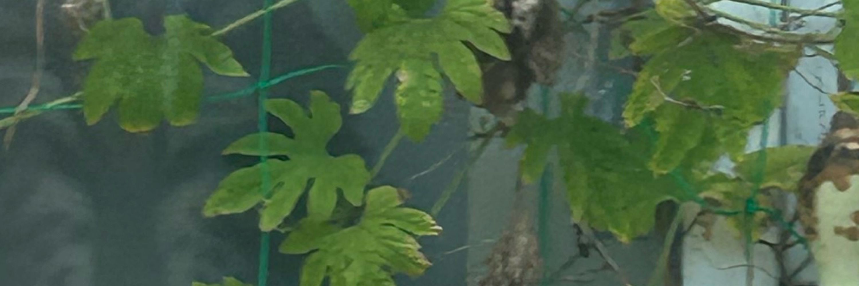 かる